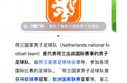 开云体育下载-欧洲精彩足球赛：荷兰队取得关键胜利的简单介绍