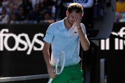 开云体育-法国网球队力克英国网球队，梅德韦杰夫统治全场的简单介绍