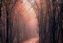 开云体育APP下载-意大利网球队爆冷击败德国，梅德韦杰夫精彩完成帽子戏法，震撼网球界！