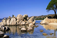 开云体育app-欧洲网球队强势美国网球队，克耶高斯惊艳世界