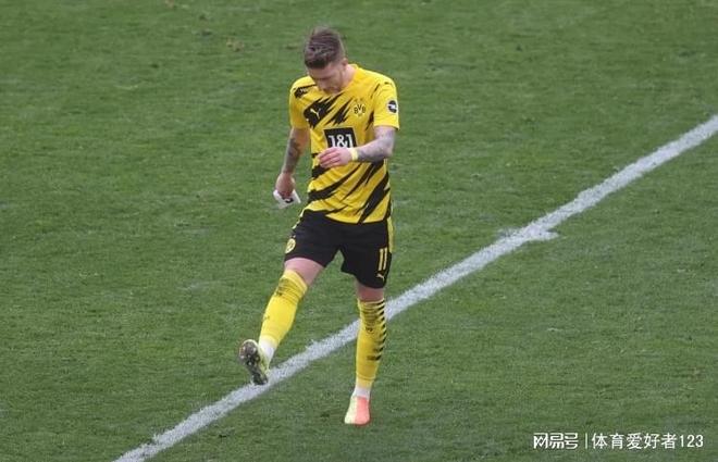 霍芬海姆备受伤病困扰，实力受损的简单介绍