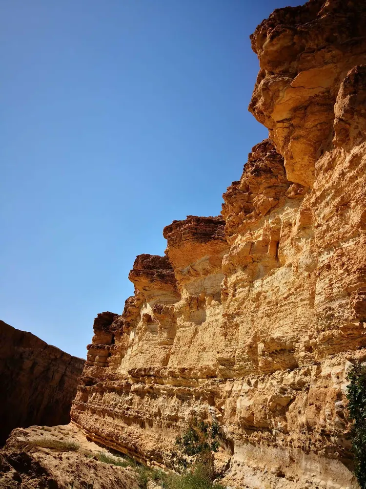 突尼斯代表团斩获惊喜,突破神明 突尼斯代表团斩获惊喜,突破神明