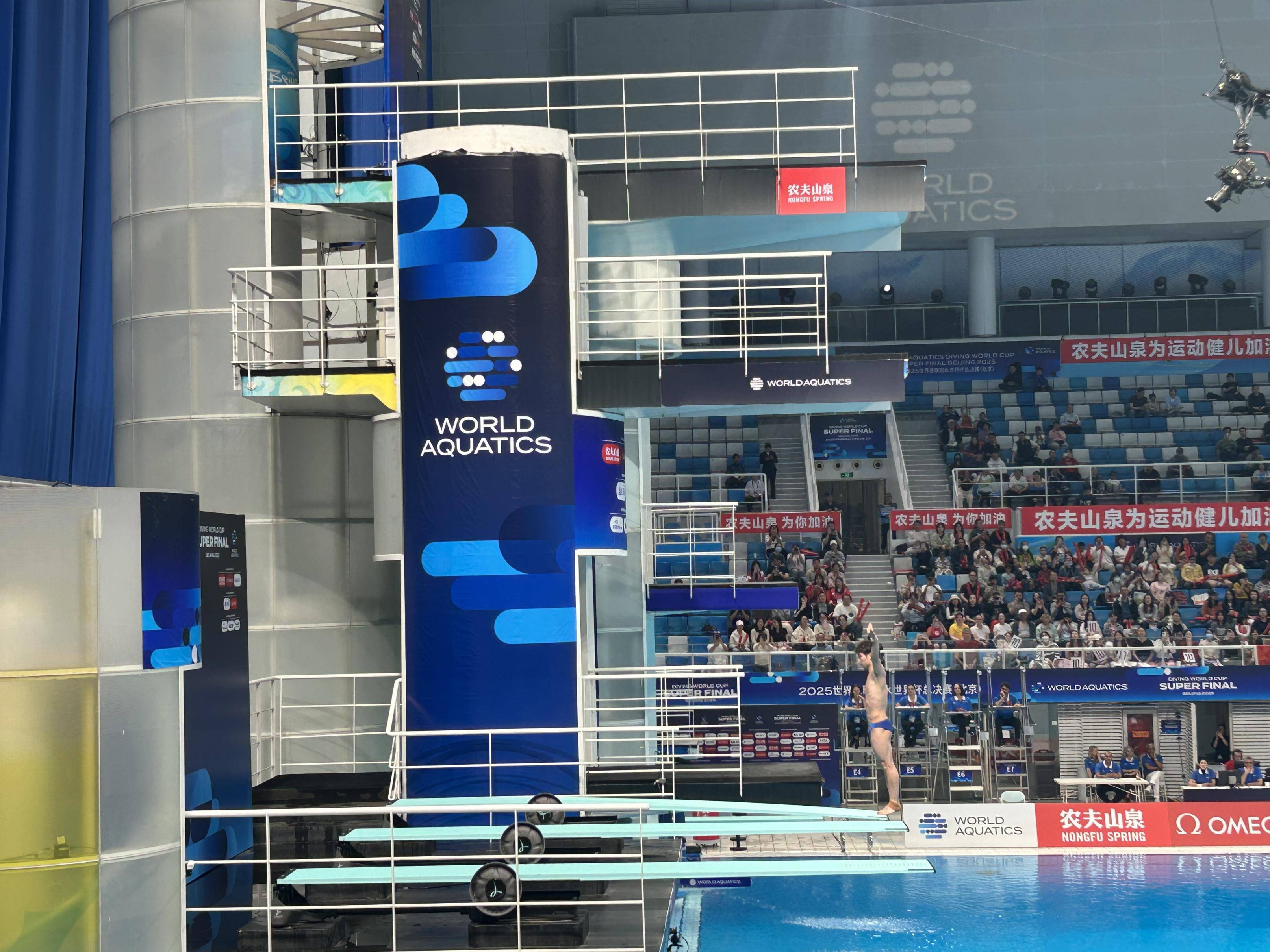 跳水比赛中澳大利亚选手大放异彩,夺金的简单介绍 跳水比赛中澳大利亚选手大放异彩,夺金的简单介绍