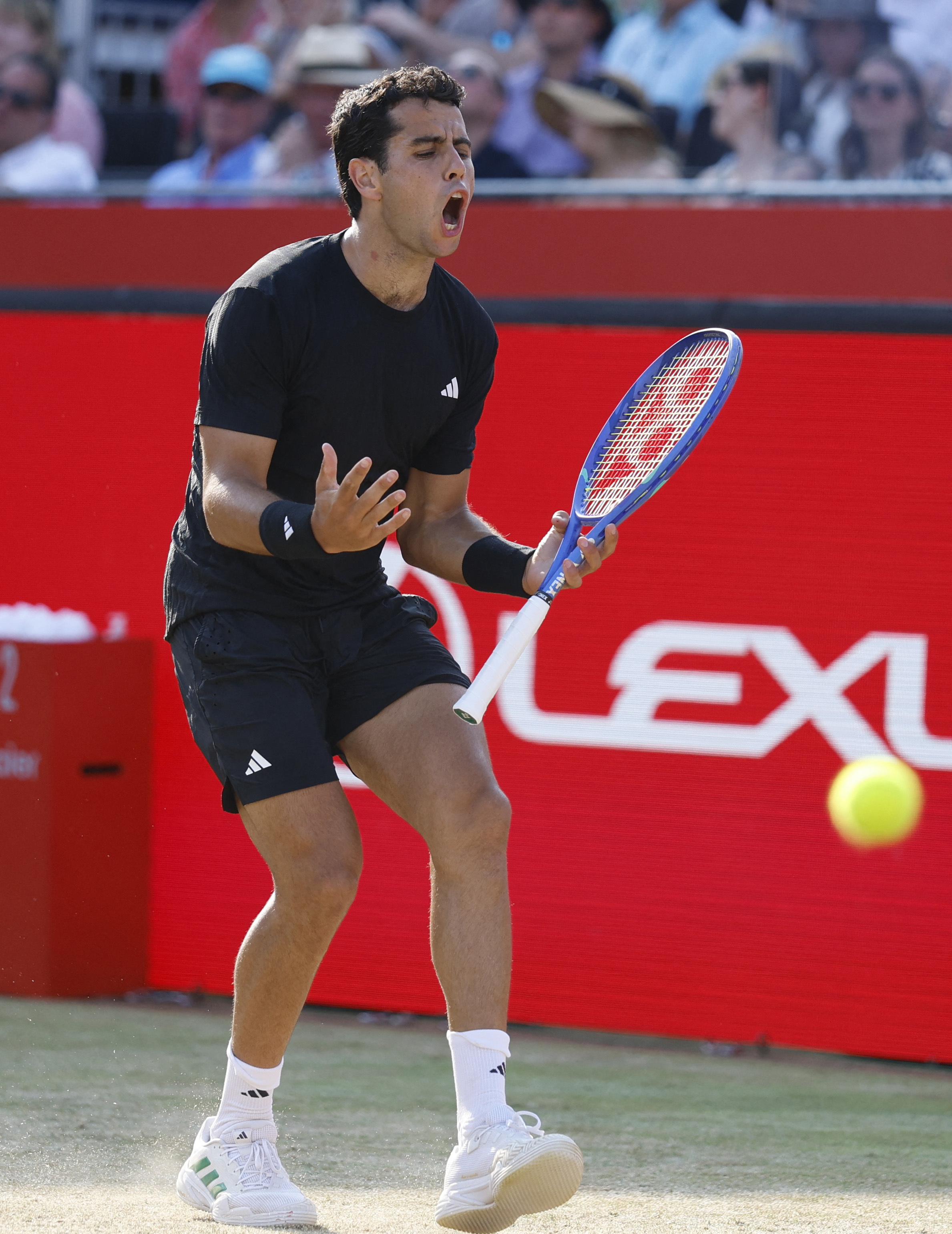 日本网球队爆冷欧洲网球队，阿尔卡拉斯绝境逆转的简单介绍